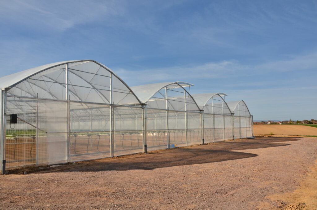 solar, sera, sere, solarii, transilvania, folie, sticla, multiart, multimed, tunel vertical, easyart, nordiart, simplu, glassart, hobby, botanic garden, cercetare, storeart, farmart, ciupercarie, ciupercarii, activitati recreative, fotovoltaic, venlosun, multisun, umbrire, lalele, capsuni, generator, generatoare, floricultura, pepiniera, policarbonat, gradina botanica, gradini botanice, flori, finantare fonduri europene, ghivece, arce, culme, hidroponic, struguri, professional, tanar fermier, cultivare legume, gaz metan, livezi rosii, fertirigare, ecran umbrire, castraveti, rasaduri familie, pereti verticali, submasura 4.1, cresterea animalelor, depozitare, stocare, Italian, calla, rosa, magnolia, mughetto, girasole, sere transilvania, sere moldova, sere dobrogea, sere muntenia, sere oltenia, sere banat, sere crisana, sere bucovina, sere maramures, solarii transilvania, solarii moldova, solarii dobrogea, solarii muntenia, solarii oltenia, solarii banat, solarii crisana, solarii bucovina, solarii maramures, sere solarii satu mare, sere solarii baia mare, maramures, sere solarii suceava, sere solarii botosani, sere solarii bihor, oradea, sere solarii salaj, zalau, sere solarii bistrita, sere solarii piatra neamt, sere solarii iasi, sere solarii cluj napoca, sere solarii tirgu mures, sere solarii miercurea ciuc, harghita, sere solarii bacau, sere solarii vaslui, sere solarii arad, sere solarii alba iulia, sere solarii timis, timisoara, sere solarii deva, hunedoara, sere solarii sibiu, sere solarii brasov, sere solarii sfantu gheorghe, covasna, sere solarii focsani, sere solarii galati, sere solarii timisoara, sere solarii caras severin, sere solarii resita, sere solarii vrancea, sere solarii gorj, sere solarii tirgu jiu, sere solarii ramnicu valcea, sere solarii arges, sere solarii pitesti, sere solarii targoviste, sere solarii dambovita, sere solarii prahova, ploiesti, sere solarii pitesti, sere solarii buzau, sere solarii braila, sere solarii tulcea, sere solarii mehedinti, sere solarii drobeta turnu severin, sere solarii dolj, sere solarii craiova, sere solarii slatina, sere solarii olt, sere solarii teleorman, sere solarii alexandria, sere solarii giurgiu, sere solarii ilfov, sere solarii bucuresti, slobozia, sere solarii ialomita, sere solarii calarasi, sere solarii constanta, sere solarii tulcea, sere romania, europrogress, ciupercarii la cheie, preturi europrogres, sere sticla, cat costa o sera din sticla, europrogress srl, sere din sticla, accesorii solar, sera policarbonat, europrogress, serre, sere la cheie, ciupercarii la cheie, profile prindere folie solar si sere, sera din sticla, incalzire sere, sere si solarii, sere galati, solarii romania, solarii hobby, sera tunel, accesorii solarii legume, sere profesionale, sere din policarbonat de vanzare, accesorii solarii ciupercarie, solarii transilvania, sere solarii, sere agricole, sera din policarbonat, solarii profesionale, pret folie, solar ciupercarie la cheie, pret ciupercarie la cheie, preturi solarii, euro progres, sere metalice