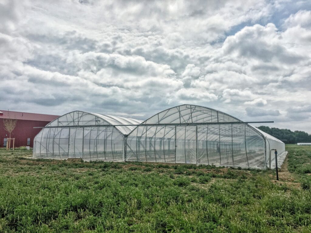 solar, sera, sere, solarii, transilvania, moldova, botosani, oltenia, folie, sticla, multiart, multimed, tunel vertical, easyart, nordiart, simplu, glassart, hobby, botanic garden, cercetare, storeart, farmart, ciupercarie, ciupercarii, activitati recreative, fotovoltaic, venlosun, multisun, umbrire, lalele, capsuni, generator, generatoare, floricultura, pepiniera, policarbonat, gradina botanica, gradini botanice, flori, finantare fonduri europene, ghivece, arce, culme, hidroponic, struguri, professional, tanar fermier, cultivare legume, gaz metan, livezi rosii, fertirigare, ecran umbrire, castraveti, rasaduri familie, pereti verticali, submasura 4.1, cresterea animalelor, depozitare, stocare, Italian, calla, rosa, magnolia, mughetto, girasole, sere transilvania, sere moldova, sere dobrogea, sere muntenia, sere oltenia, sere banat, sere crisana, sere bucovina, sere maramures, solarii transilvania, solarii moldova, solarii dobrogea, solarii muntenia, solarii oltenia, solarii banat, solarii crisana, solarii bucovina, solarii maramures, sere solarii satu mare, sere solarii baia mare, maramures, sere solarii suceava, sere solarii botosani, sere solarii bihor, oradea, sere solarii salaj, zalau, sere solarii bistrita, sere solarii piatra neamt, sere solarii iasi, sere solarii cluj napoca, sere solarii tirgu mures, sere solarii miercurea ciuc, harghita, sere solarii bacau, sere solarii vaslui, sere solarii arad, sere solarii alba iulia, sere solarii timis, timisoara, sere solarii deva, hunedoara, sere solarii sibiu, sere solarii brasov, sere solarii sfantu gheorghe, covasna, sere solarii focsani, sere solarii galati, sere solarii timisoara, sere solarii caras severin, sere solarii resita, sere solarii vrancea, sere solarii gorj, sere solarii tirgu jiu, sere solarii ramnicu valcea, sere solarii arges, sere solarii pitesti, sere solarii targoviste, sere solarii dambovita, sere solarii prahova, ploiesti, sere solarii pitesti, sere solarii buzau, sere solarii braila, sere solarii tulcea, sere solarii mehedinti, sere solarii drobeta turnu severin, sere solarii dolj, sere solarii craiova, sere solarii slatina, sere solarii olt, sere solarii teleorman, sere solarii alexandria, sere solarii giurgiu, sere solarii ilfov, sere solarii bucuresti, slobozia, sere solarii ialomita, sere solarii calarasi, sere solarii constanta, sere solarii tulcea, sere romania, europrogress, ciupercarii la cheie, preturi europrogres, sere sticla, cat costa o sera din sticla, europrogress srl, sere din sticla, accesorii solar, sera policarbonat, europrogress, serre, sere la cheie, ciupercarii la cheie, profile prindere folie solar si sere, sera din sticla, incalzire sere, sere si solarii, sere galati, solarii romania, solarii hobby, sera tunel, accesorii solarii legume, sere profesionale, sere din policarbonat de vanzare, accesorii solarii ciupercarie, solarii transilvania, sere solarii, sere agricole, sera din policarbonat, solarii profesionale, pret folie, solar ciupercarie la cheie, pret ciupercarie la cheie, preturi solarii, euro progres, sere metalice