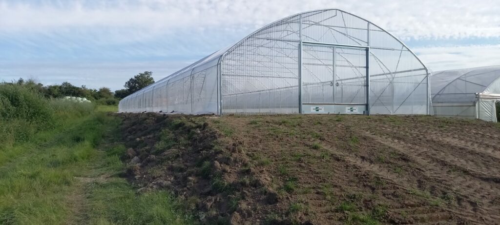 solar, sera, sere, solarii, transilvania, moldova, botosani, oltenia, folie, sticla, multiart, multimed, tunel vertical, easyart, nordiart, simplu, glassart, hobby, botanic garden, cercetare, storeart, farmart, ciupercarie, ciupercarii, activitati recreative, fotovoltaic, venlosun, multisun, umbrire, lalele, capsuni, generator, generatoare, floricultura, pepiniera, policarbonat, gradina botanica, gradini botanice, flori, finantare fonduri europene, ghivece, arce, culme, hidroponic, struguri, professional, tanar fermier, cultivare legume, gaz metan, livezi rosii, fertirigare, ecran umbrire, castraveti, rasaduri familie, pereti verticali, submasura 4.1, cresterea animalelor, depozitare, stocare, Italian, calla, rosa, magnolia, mughetto, girasole, sere transilvania, sere moldova, sere dobrogea, sere muntenia, sere oltenia, sere banat, sere crisana, sere bucovina, sere maramures, solarii transilvania, solarii moldova, solarii dobrogea, solarii muntenia, solarii oltenia, solarii banat, solarii crisana, solarii bucovina, solarii maramures, sere solarii satu mare, sere solarii baia mare, maramures, sere solarii suceava, sere solarii botosani, sere solarii bihor, oradea, sere solarii salaj, zalau, sere solarii bistrita, sere solarii piatra neamt, sere solarii iasi, sere solarii cluj napoca, sere solarii tirgu mures, sere solarii miercurea ciuc, harghita, sere solarii bacau, sere solarii vaslui, sere solarii arad, sere solarii alba iulia, sere solarii timis, timisoara, sere solarii deva, hunedoara, sere solarii sibiu, sere solarii brasov, sere solarii sfantu gheorghe, covasna, sere solarii focsani, sere solarii galati, sere solarii timisoara, sere solarii caras severin, sere solarii resita, sere solarii vrancea, sere solarii gorj, sere solarii tirgu jiu, sere solarii ramnicu valcea, sere solarii arges, sere solarii pitesti, sere solarii targoviste, sere solarii dambovita, sere solarii prahova, ploiesti, sere solarii pitesti, sere solarii buzau, sere solarii braila, sere solarii tulcea, sere solarii mehedinti, sere solarii drobeta turnu severin, sere solarii dolj, sere solarii craiova, sere solarii slatina, sere solarii olt, sere solarii teleorman, sere solarii alexandria, sere solarii giurgiu, sere solarii ilfov, sere solarii bucuresti, slobozia, sere solarii ialomita, sere solarii calarasi, sere solarii constanta, sere solarii tulcea, sere romania, europrogress, ciupercarii la cheie, preturi europrogres, sere sticla, cat costa o sera din sticla, europrogress srl, sere din sticla, accesorii solar, sera policarbonat, europrogress, serre, sere la cheie, ciupercarii la cheie, profile prindere folie solar si sere, sera din sticla, incalzire sere, sere si solarii, sere galati, solarii romania, solarii hobby, sera tunel, accesorii solarii legume, sere profesionale, sere din policarbonat de vanzare, accesorii solarii ciupercarie, solarii transilvania, sere solarii, sere agricole, sera din policarbonat, solarii profesionale, pret folie, solar ciupercarie la cheie, pret ciupercarie la cheie, preturi solarii, euro progres, sere metalice