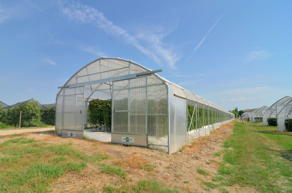 solar, sera, sere, solarii, transilvania, moldova, botosani, oltenia, folie, sticla, multiart, multimed, tunel vertical, easyart, nordiart, simplu, glassart, hobby, botanic garden, cercetare, storeart, farmart, ciupercarie, ciupercarii, activitati recreative, fotovoltaic, venlosun, multisun, umbrire, lalele, capsuni, generator, generatoare, floricultura, pepiniera, policarbonat, gradina botanica, gradini botanice, flori, finantare fonduri europene, ghivece, arce, culme, hidroponic, struguri, professional, tanar fermier, cultivare legume, gaz metan, livezi rosii, fertirigare, ecran umbrire, castraveti, rasaduri familie, pereti verticali, submasura 4.1, cresterea animalelor, depozitare, stocare, Italian, calla, rosa, magnolia, mughetto, girasole, sere transilvania, sere moldova, sere dobrogea, sere muntenia, sere oltenia, sere banat, sere crisana, sere bucovina, sere maramures, solarii transilvania, solarii moldova, solarii dobrogea, solarii muntenia, solarii oltenia, solarii banat, solarii crisana, solarii bucovina, solarii maramures, sere solarii satu mare, sere solarii baia mare, maramures, sere solarii suceava, sere solarii botosani, sere solarii bihor, oradea, sere solarii salaj, zalau, sere solarii bistrita, sere solarii piatra neamt, sere solarii iasi, sere solarii cluj napoca, sere solarii tirgu mures, sere solarii miercurea ciuc, harghita, sere solarii bacau, sere solarii vaslui, sere solarii arad, sere solarii alba iulia, sere solarii timis, timisoara, sere solarii deva, hunedoara, sere solarii sibiu, sere solarii brasov, sere solarii sfantu gheorghe, covasna, sere solarii focsani, sere solarii galati, sere solarii timisoara, sere solarii caras severin, sere solarii resita, sere solarii vrancea, sere solarii gorj, sere solarii tirgu jiu, sere solarii ramnicu valcea, sere solarii arges, sere solarii pitesti, sere solarii targoviste, sere solarii dambovita, sere solarii prahova, ploiesti, sere solarii pitesti, sere solarii buzau, sere solarii braila, sere solarii tulcea, sere solarii mehedinti, sere solarii drobeta turnu severin, sere solarii dolj, sere solarii craiova, sere solarii slatina, sere solarii olt, sere solarii teleorman, sere solarii alexandria, sere solarii giurgiu, sere solarii ilfov, sere solarii bucuresti, slobozia, sere solarii ialomita, sere solarii calarasi, sere solarii constanta, sere solarii tulcea, sere romania, europrogress, ciupercarii la cheie, preturi europrogres, sere sticla, cat costa o sera din sticla, europrogress srl, sere din sticla, accesorii solar, sera policarbonat, europrogress, serre, sere la cheie, ciupercarii la cheie, profile prindere folie solar si sere, sera din sticla, incalzire sere, sere si solarii, sere galati, solarii romania, solarii hobby, sera tunel, accesorii solarii legume, sere profesionale, sere din policarbonat de vanzare, accesorii solarii ciupercarie, solarii transilvania, sere solarii, sere agricole, sera din policarbonat, solarii profesionale, pret folie, solar ciupercarie la cheie, pret ciupercarie la cheie, preturi solarii, euro progres, sere metalice