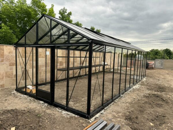 Sera hobby sticla Tulipano