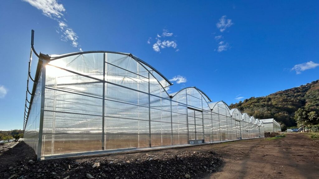 sera profesionala europrogress