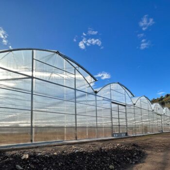 sera profesionala europrogress