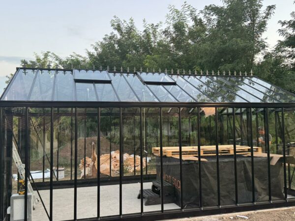 Sera sticla Tulipano