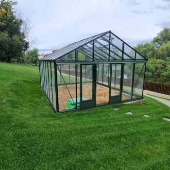 Sera sticla hobby Anemone 4