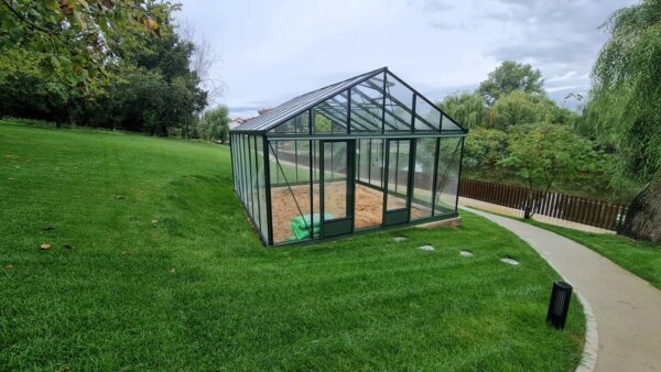 Sera sticla hobby Anemone 4