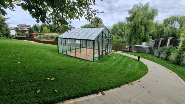 Sera hobby sticla Anemone 4