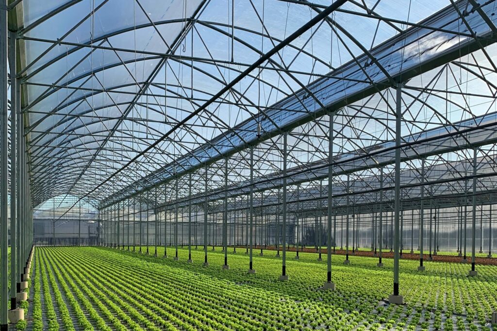 solar, sera, sere, solarii, transilvania, moldova, botosani, oltenia, folie, sticla, multiart, multimed, tunel vertical, easyart, nordiart, simplu, glassart, hobby, botanic garden, cercetare, storeart, farmart, ciupercarie, ciupercarii, activitati recreative, fotovoltaic, venlosun, multisun, umbrire, lalele, capsuni, generator, generatoare, floricultura, pepiniera, policarbonat, gradina botanica, gradini botanice, flori, finantare fonduri europene, ghivece, arce, culme, hidroponic, struguri, professional, tanar fermier, cultivare legume, gaz metan, livezi rosii, fertirigare, ecran umbrire, castraveti, rasaduri familie, pereti verticali, submasura 4.1, cresterea animalelor, depozitare, stocare, Italian, calla, rosa, magnolia, mughetto, girasole, sere transilvania, sere moldova, sere dobrogea, sere muntenia, sere oltenia, sere banat, sere crisana, sere bucovina, sere maramures, solarii transilvania, solarii moldova, solarii dobrogea, solarii muntenia, solarii oltenia, solarii banat, solarii crisana, solarii bucovina, solarii maramures, sere solarii satu mare, sere solarii baia mare, maramures, sere solarii suceava, sere solarii botosani, sere solarii bihor, oradea, sere solarii salaj, zalau, sere solarii bistrita, sere solarii piatra neamt, sere solarii iasi, sere solarii cluj napoca, sere solarii tirgu mures, sere solarii miercurea ciuc, harghita, sere solarii bacau, sere solarii vaslui, sere solarii arad, sere solarii alba iulia, sere solarii timis, timisoara, sere solarii deva, hunedoara, sere solarii sibiu, sere solarii brasov, sere solarii sfantu gheorghe, covasna, sere solarii focsani, sere solarii galati, sere solarii timisoara, sere solarii caras severin, sere solarii resita, sere solarii vrancea, sere solarii gorj, sere solarii tirgu jiu, sere solarii ramnicu valcea, sere solarii arges, sere solarii pitesti, sere solarii targoviste, sere solarii dambovita, sere solarii prahova, ploiesti, sere solarii pitesti, sere solarii buzau, sere solarii braila, sere solarii tulcea, sere solarii mehedinti, sere solarii drobeta turnu severin, sere solarii dolj, sere solarii craiova, sere solarii slatina, sere solarii olt, sere solarii teleorman, sere solarii alexandria, sere solarii giurgiu, sere solarii ilfov, sere solarii bucuresti, slobozia, sere solarii ialomita, sere solarii calarasi, sere solarii constanta, sere solarii tulcea, sere romania, europrogress, ciupercarii la cheie, preturi europrogres, sere sticla, cat costa o sera din sticla, europrogress srl, sere din sticla, accesorii solar, sera policarbonat, europrogress, serre, sere la cheie, ciupercarii la cheie, profile prindere folie solar si sere, sera din sticla, incalzire sere, sere si solarii, sere galati, solarii romania, solarii hobby, sera tunel, accesorii solarii legume, sere profesionale, sere din policarbonat de vanzare, accesorii solarii ciupercarie, solarii transilvania, sere solarii, sere agricole, sera din policarbonat, solarii profesionale, pret folie, solar ciupercarie la cheie, pret ciupercarie la cheie, preturi solarii, euro progres, sere metalice