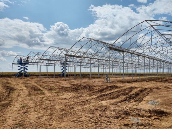 sera profesionala Multiart 9600 exterior interior sera hidroponica capsuni structura metalica sera industriala