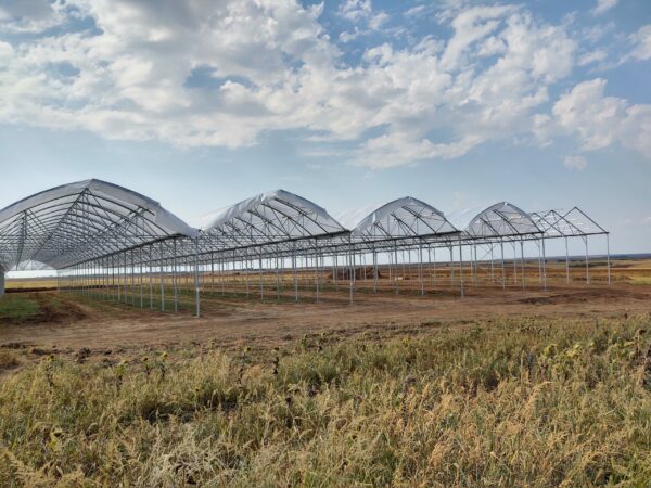 sera profesionala Multiart 9600 exterior interior sera hidroponica capsuni structura metalica sera industriala