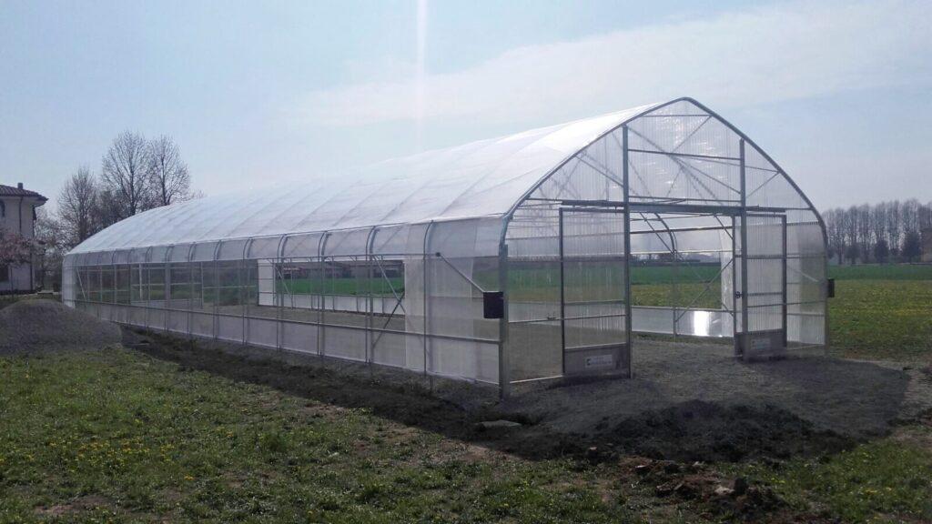 solar, sera, sere, solarii, transilvania, moldova, botosani, oltenia, folie, sticla, multiart, multimed, tunel vertical, easyart, nordiart, simplu, glassart, hobby, botanic garden, cercetare, storeart, farmart, ciupercarie, ciupercarii, activitati recreative, fotovoltaic, venlosun, multisun, umbrire, lalele, capsuni, generator, generatoare, floricultura, pepiniera, policarbonat, gradina botanica, gradini botanice, flori, finantare fonduri europene, ghivece, arce, culme, hidroponic, struguri, professional, tanar fermier, cultivare legume, gaz metan, livezi rosii, fertirigare, ecran umbrire, castraveti, rasaduri familie, pereti verticali, submasura 4.1, cresterea animalelor, depozitare, stocare, Italian, calla, rosa, magnolia, mughetto, girasole, sere transilvania, sere moldova, sere dobrogea, sere muntenia, sere oltenia, sere banat, sere crisana, sere bucovina, sere maramures, solarii transilvania, solarii moldova, solarii dobrogea, solarii muntenia, solarii oltenia, solarii banat, solarii crisana, solarii bucovina, solarii maramures, sere solarii satu mare, sere solarii baia mare, maramures, sere solarii suceava, sere solarii botosani, sere solarii bihor, oradea, sere solarii salaj, zalau, sere solarii bistrita, sere solarii piatra neamt, sere solarii iasi, sere solarii cluj napoca, sere solarii tirgu mures, sere solarii miercurea ciuc, harghita, sere solarii bacau, sere solarii vaslui, sere solarii arad, sere solarii alba iulia, sere solarii timis, timisoara, sere solarii deva, hunedoara, sere solarii sibiu, sere solarii brasov, sere solarii sfantu gheorghe, covasna, sere solarii focsani, sere solarii galati, sere solarii timisoara, sere solarii caras severin, sere solarii resita, sere solarii vrancea, sere solarii gorj, sere solarii tirgu jiu, sere solarii ramnicu valcea, sere solarii arges, sere solarii pitesti, sere solarii targoviste, sere solarii dambovita, sere solarii prahova, ploiesti, sere solarii pitesti, sere solarii buzau, sere solarii braila, sere solarii tulcea, sere solarii mehedinti, sere solarii drobeta turnu severin, sere solarii dolj, sere solarii craiova, sere solarii slatina, sere solarii olt, sere solarii teleorman, sere solarii alexandria, sere solarii giurgiu, sere solarii ilfov, sere solarii bucuresti, slobozia, sere solarii ialomita, sere solarii calarasi, sere solarii constanta, sere solarii tulcea, sere romania, europrogress, ciupercarii la cheie, preturi europrogres, sere sticla, cat costa o sera din sticla, europrogress srl, sere din sticla, accesorii solar, sera policarbonat, europrogress, serre, sere la cheie, ciupercarii la cheie, profile prindere folie solar si sere, sera din sticla, incalzire sere, sere si solarii, sere galati, solarii romania, solarii hobby, sera tunel, accesorii solarii legume, sere profesionale, sere din policarbonat de vanzare, accesorii solarii ciupercarie, solarii transilvania, sere solarii, sere agricole, sera din policarbonat, solarii profesionale, pret folie, solar ciupercarie la cheie, pret ciupercarie la cheie, preturi solarii, euro progres, sere metalice