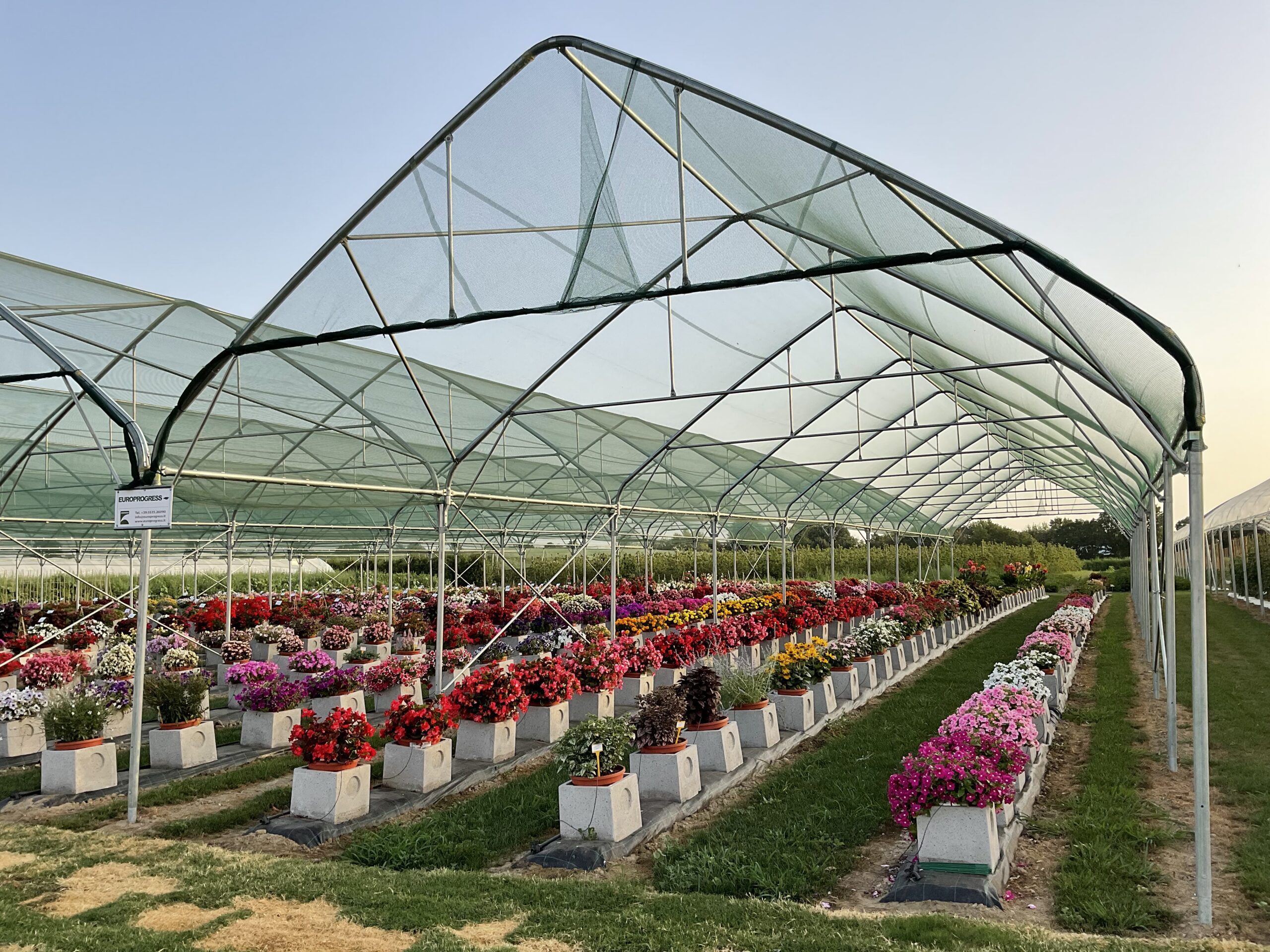 solar, sera, sere, solarii, transilvania, moldova, botosani, oltenia, folie, sticla, multiart, multimed, tunel vertical, easyart, nordiart, simplu, glassart, hobby, botanic garden, cercetare, storeart, farmart, ciupercarie, ciupercarii, activitati recreative, fotovoltaic, venlosun, multisun, umbrire, lalele, capsuni, generator, generatoare, floricultura, pepiniera, policarbonat, gradina botanica, gradini botanice, flori, finantare fonduri europene, ghivece, arce, culme, hidroponic, struguri, professional, tanar fermier, cultivare legume, gaz metan, livezi rosii, fertirigare, ecran umbrire, castraveti, rasaduri familie, pereti verticali, submasura 4.1, cresterea animalelor, depozitare, stocare, Italian, calla, rosa, magnolia, mughetto, girasole, sere transilvania, sere moldova, sere dobrogea, sere muntenia, sere oltenia, sere banat, sere crisana, sere bucovina, sere maramures, solarii transilvania, solarii moldova, solarii dobrogea, solarii muntenia, solarii oltenia, solarii banat, solarii crisana, solarii bucovina, solarii maramures, sere solarii satu mare, sere solarii baia mare, maramures, sere solarii suceava, sere solarii botosani, sere solarii bihor, oradea, sere solarii salaj, zalau, sere solarii bistrita, sere solarii piatra neamt, sere solarii iasi, sere solarii cluj napoca, sere solarii tirgu mures, sere solarii miercurea ciuc, harghita, sere solarii bacau, sere solarii vaslui, sere solarii arad, sere solarii alba iulia, sere solarii timis, timisoara, sere solarii deva, hunedoara, sere solarii sibiu, sere solarii brasov, sere solarii sfantu gheorghe, covasna, sere solarii focsani, sere solarii galati, sere solarii timisoara, sere solarii caras severin, sere solarii resita, sere solarii vrancea, sere solarii gorj, sere solarii tirgu jiu, sere solarii ramnicu valcea, sere solarii arges, sere solarii pitesti, sere solarii targoviste, sere solarii dambovita, sere solarii prahova, ploiesti, sere solarii pitesti, sere solarii buzau, sere solarii braila, sere solarii tulcea, sere solarii mehedinti, sere solarii drobeta turnu severin, sere solarii dolj, sere solarii craiova, sere solarii slatina, sere solarii olt, sere solarii teleorman, sere solarii alexandria, sere solarii giurgiu, sere solarii ilfov, sere solarii bucuresti, slobozia, sere solarii ialomita, sere solarii calarasi, sere solarii constanta, sere solarii tulcea, sere romania, europrogress, ciupercarii la cheie, preturi europrogres, sere sticla, cat costa o sera din sticla, europrogress srl, sere din sticla, accesorii solar, sera policarbonat, europrogress, serre, sere la cheie, ciupercarii la cheie, profile prindere folie solar si sere, sera din sticla, incalzire sere, sere si solarii, sere galati, solarii romania, solarii hobby, sera tunel, accesorii solarii legume, sere profesionale, sere din policarbonat de vanzare, accesorii solarii ciupercarie, solarii transilvania, sere solarii, sere agricole, sera din policarbonat, solarii profesionale, pret folie, solar ciupercarie la cheie, pret ciupercarie la cheie, preturi solarii, euro progres, sere metalice