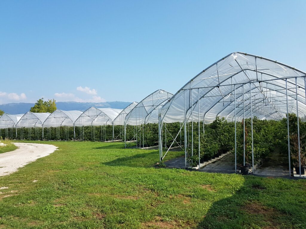 solar, sera, sere, solarii, transilvania, moldova, botosani, oltenia, folie, sticla, multiart, multimed, tunel vertical, easyart, nordiart, simplu, glassart, hobby, botanic garden, cercetare, storeart, farmart, ciupercarie, ciupercarii, activitati recreative, fotovoltaic, venlosun, multisun, umbrire, lalele, capsuni, generator, generatoare, floricultura, pepiniera, policarbonat, gradina botanica, gradini botanice, flori, finantare fonduri europene, ghivece, arce, culme, hidroponic, struguri, professional, tanar fermier, cultivare legume, gaz metan, livezi rosii, fertirigare, ecran umbrire, castraveti, rasaduri familie, pereti verticali, submasura 4.1, cresterea animalelor, depozitare, stocare, Italian, calla, rosa, magnolia, mughetto, girasole, sere transilvania, sere moldova, sere dobrogea, sere muntenia, sere oltenia, sere banat, sere crisana, sere bucovina, sere maramures, solarii transilvania, solarii moldova, solarii dobrogea, solarii muntenia, solarii oltenia, solarii banat, solarii crisana, solarii bucovina, solarii maramures, sere solarii satu mare, sere solarii baia mare, maramures, sere solarii suceava, sere solarii botosani, sere solarii bihor, oradea, sere solarii salaj, zalau, sere solarii bistrita, sere solarii piatra neamt, sere solarii iasi, sere solarii cluj napoca, sere solarii tirgu mures, sere solarii miercurea ciuc, harghita, sere solarii bacau, sere solarii vaslui, sere solarii arad, sere solarii alba iulia, sere solarii timis, timisoara, sere solarii deva, hunedoara, sere solarii sibiu, sere solarii brasov, sere solarii sfantu gheorghe, covasna, sere solarii focsani, sere solarii galati, sere solarii timisoara, sere solarii caras severin, sere solarii resita, sere solarii vrancea, sere solarii gorj, sere solarii tirgu jiu, sere solarii ramnicu valcea, sere solarii arges, sere solarii pitesti, sere solarii targoviste, sere solarii dambovita, sere solarii prahova, ploiesti, sere solarii pitesti, sere solarii buzau, sere solarii braila, sere solarii tulcea, sere solarii mehedinti, sere solarii drobeta turnu severin, sere solarii dolj, sere solarii craiova, sere solarii slatina, sere solarii olt, sere solarii teleorman, sere solarii alexandria, sere solarii giurgiu, sere solarii ilfov, sere solarii bucuresti, slobozia, sere solarii ialomita, sere solarii calarasi, sere solarii constanta, sere solarii tulcea, sere romania, europrogress, ciupercarii la cheie, preturi europrogres, sere sticla, cat costa o sera din sticla, europrogress srl, sere din sticla, accesorii solar, sera policarbonat, europrogress, serre, sere la cheie, ciupercarii la cheie, profile prindere folie solar si sere, sera din sticla, incalzire sere, sere si solarii, sere galati, solarii romania, solarii hobby, sera tunel, accesorii solarii legume, sere profesionale, sere din policarbonat de vanzare, accesorii solarii ciupercarie, solarii transilvania, sere solarii, sere agricole, sera din policarbonat, solarii profesionale, pret folie, solar ciupercarie la cheie, pret ciupercarie la cheie, preturi solarii, euro progres, sere metalice