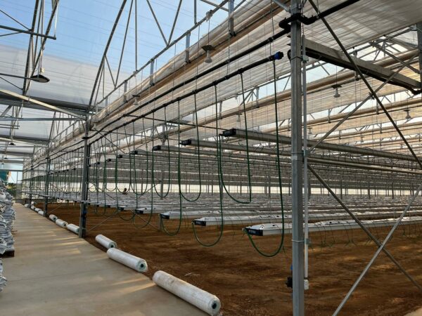 sera profesionala Multiart 9600 exterior interior sera hidroponica capsuni structura metalica sera industriala