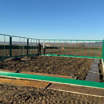 Structura sera Gardenia