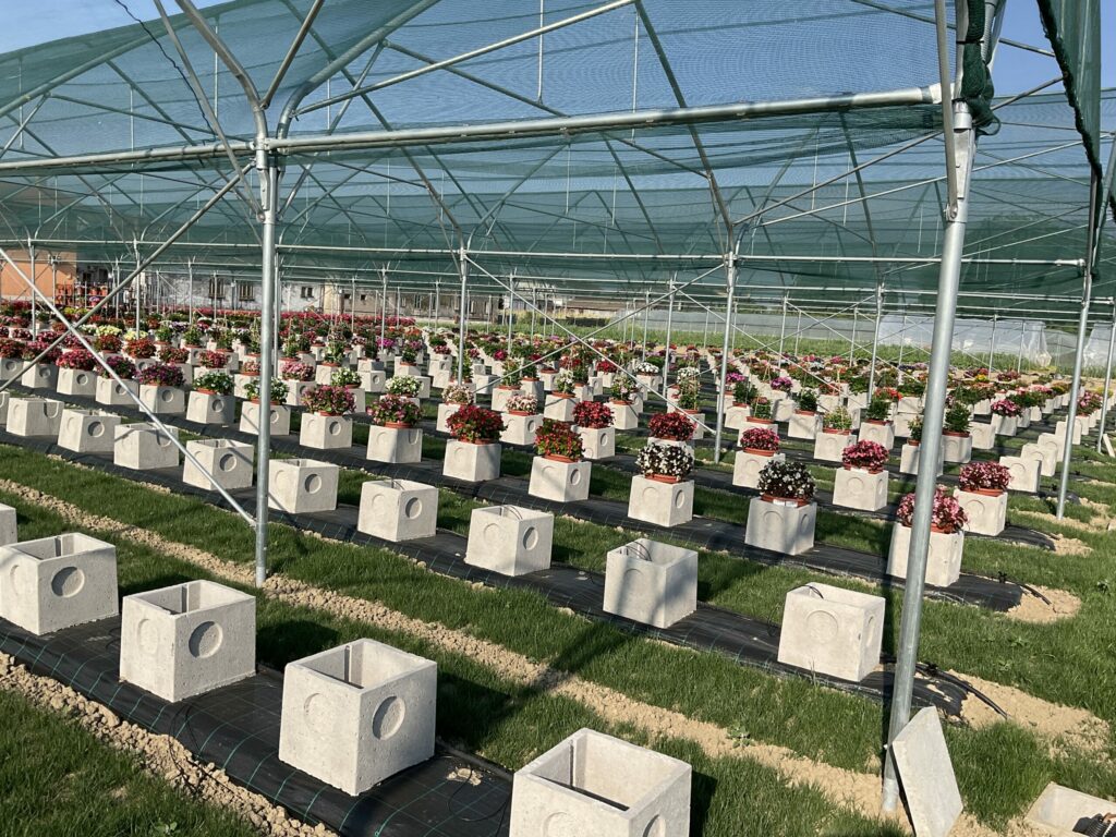 solar, sera, sere, solarii, transilvania, moldova, botosani, oltenia, folie, sticla, multiart, multimed, tunel vertical, easyart, nordiart, simplu, glassart, hobby, botanic garden, cercetare, storeart, farmart, ciupercarie, ciupercarii, activitati recreative, fotovoltaic, venlosun, multisun, umbrire, lalele, capsuni, generator, generatoare, floricultura, pepiniera, policarbonat, gradina botanica, gradini botanice, flori, finantare fonduri europene, ghivece, arce, culme, hidroponic, struguri, professional, tanar fermier, cultivare legume, gaz metan, livezi rosii, fertirigare, ecran umbrire, castraveti, rasaduri familie, pereti verticali, submasura 4.1, cresterea animalelor, depozitare, stocare, Italian, calla, rosa, magnolia, mughetto, girasole, sere transilvania, sere moldova, sere dobrogea, sere muntenia, sere oltenia, sere banat, sere crisana, sere bucovina, sere maramures, solarii transilvania, solarii moldova, solarii dobrogea, solarii muntenia, solarii oltenia, solarii banat, solarii crisana, solarii bucovina, solarii maramures, sere solarii satu mare, sere solarii baia mare, maramures, sere solarii suceava, sere solarii botosani, sere solarii bihor, oradea, sere solarii salaj, zalau, sere solarii bistrita, sere solarii piatra neamt, sere solarii iasi, sere solarii cluj napoca, sere solarii tirgu mures, sere solarii miercurea ciuc, harghita, sere solarii bacau, sere solarii vaslui, sere solarii arad, sere solarii alba iulia, sere solarii timis, timisoara, sere solarii deva, hunedoara, sere solarii sibiu, sere solarii brasov, sere solarii sfantu gheorghe, covasna, sere solarii focsani, sere solarii galati, sere solarii timisoara, sere solarii caras severin, sere solarii resita, sere solarii vrancea, sere solarii gorj, sere solarii tirgu jiu, sere solarii ramnicu valcea, sere solarii arges, sere solarii pitesti, sere solarii targoviste, sere solarii dambovita, sere solarii prahova, ploiesti, sere solarii pitesti, sere solarii buzau, sere solarii braila, sere solarii tulcea, sere solarii mehedinti, sere solarii drobeta turnu severin, sere solarii dolj, sere solarii craiova, sere solarii slatina, sere solarii olt, sere solarii teleorman, sere solarii alexandria, sere solarii giurgiu, sere solarii ilfov, sere solarii bucuresti, slobozia, sere solarii ialomita, sere solarii calarasi, sere solarii constanta, sere solarii tulcea, sere romania, europrogress, ciupercarii la cheie, preturi europrogres, sere sticla, cat costa o sera din sticla, europrogress srl, sere din sticla, accesorii solar, sera policarbonat, europrogress, serre, sere la cheie, ciupercarii la cheie, profile prindere folie solar si sere, sera din sticla, incalzire sere, sere si solarii, sere galati, solarii romania, solarii hobby, sera tunel, accesorii solarii legume, sere profesionale, sere din policarbonat de vanzare, accesorii solarii ciupercarie, solarii transilvania, sere solarii, sere agricole, sera din policarbonat, solarii profesionale, pret folie, solar ciupercarie la cheie, pret ciupercarie la cheie, preturi solarii, euro progres, sere metalice