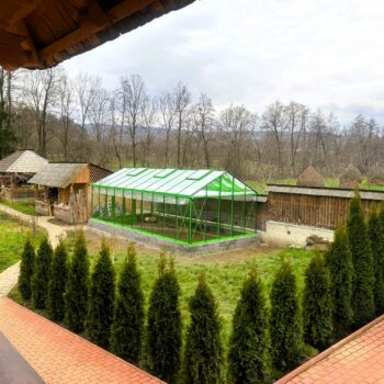 Sera sticla Dalia 24 380 x 753 verde