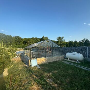 Sera sticla Dalia Giurgiu