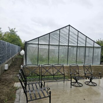 Sera sticla Dalia Giurgiu