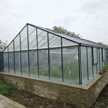 Sera sticla Dalia Giurgiu