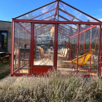 Sera sticla Tulipano rosie